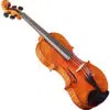 violon-passion-tradition-maitre-trois-quart-carre-1.jpg