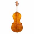 violoncelle-baroque-passion-tradition-mirecourt-dos.jpg