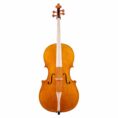 violoncelle-baroque-passion-tradition-mirecourt-face.jpg