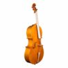 violoncelle-baroque-passion-tradition-mirecourt-profil.jpg