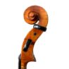 violoncelle-passion-tradition-maitre-volute.jpg