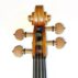 warchal-amber-cordes-pour-violon-chevilles.jpg