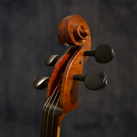 violoncelle-passion-tradition-artisan (3) Violoncelle Passion-Tradition Artisan