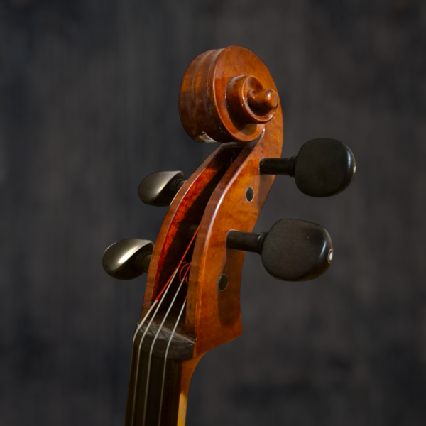 violoncelle-passion-tradition-artisan (3) Violoncelle Passion-Tradition Artisan