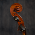 Violoncelle Passion-Tradition Artisan