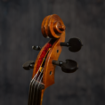 Violoncelle Passion-Tradition Maître