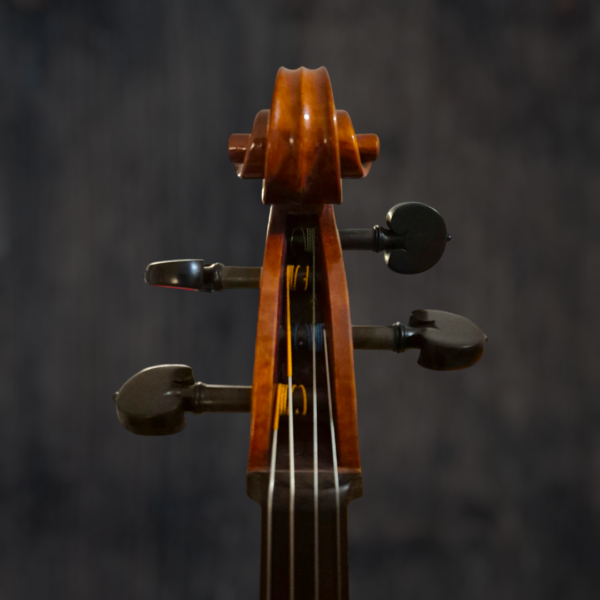 violoncelle-passion-tradition-maitre (4) Violoncelle Passion-Tradition Maître