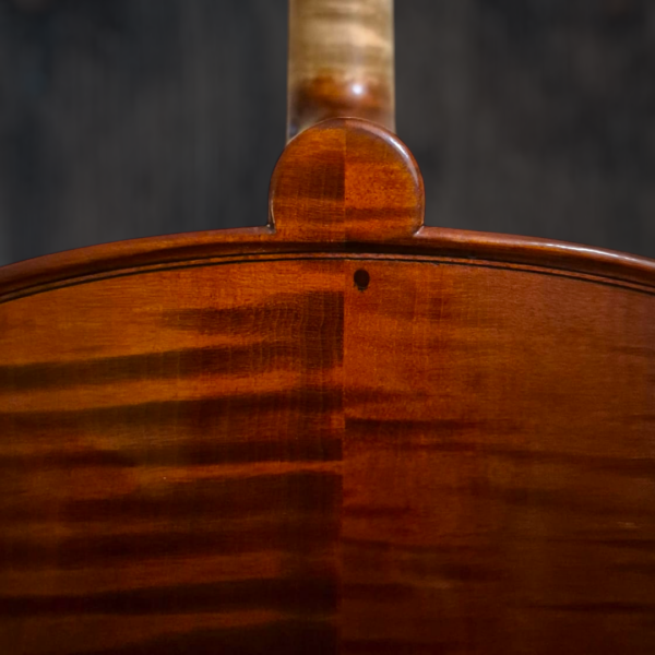 violoncelle-passion-tradition-maitre (7) Violoncelle Passion-Tradition Maître