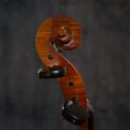 Violoncelle Passion-Tradition Maître