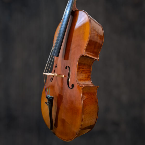 violoncelle-passion-tradition-maitre (9) Violoncelle Passion-Tradition Maître