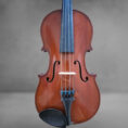 nicolas-bertolini-laberte-mirecourt-xxe (5)