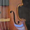 violon-laurent-bourlier-mirecourt-1800 (4)