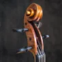 Alto R&amp;M Millant 1949 (8)