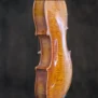 alto-wilhelm-bruckner-2016 (1)