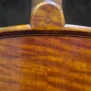 alto-wilhelm-bruckner-2016 (10)