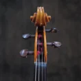 alto-wilhelm-bruckner-2016 (3)