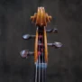 alto-wilhelm-bruckner-2016 (3)