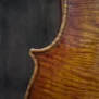 alto-wilhelm-bruckner-2016 (8)