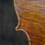 alto-wilhelm-bruckner-2016 (9)