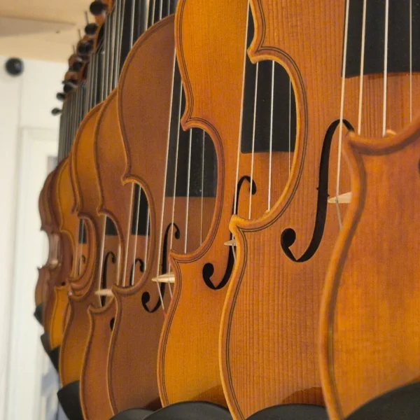 Atelier de Lutherie à Strasbourg