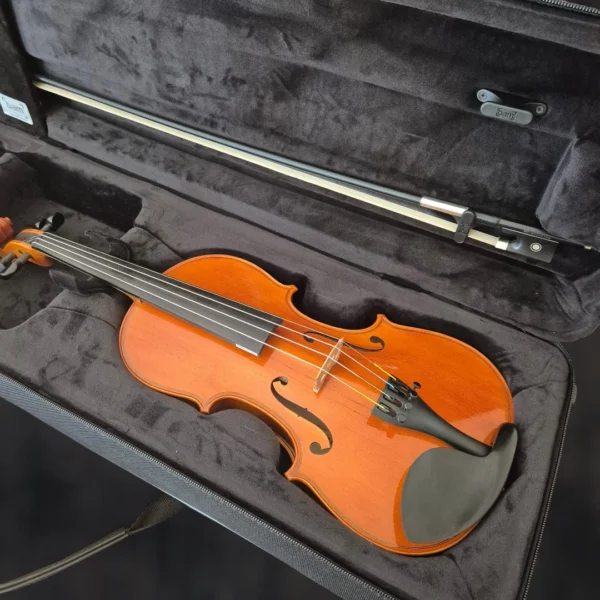 Location de violon à Strasbourg
