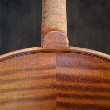 violon-albert-deblaye-1920 (14) violon-albert-deblaye-1920 (14)