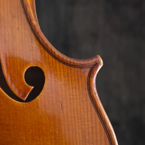 violon-albert-deblaye-1920 (19) violon-albert-deblaye-1920 (19)