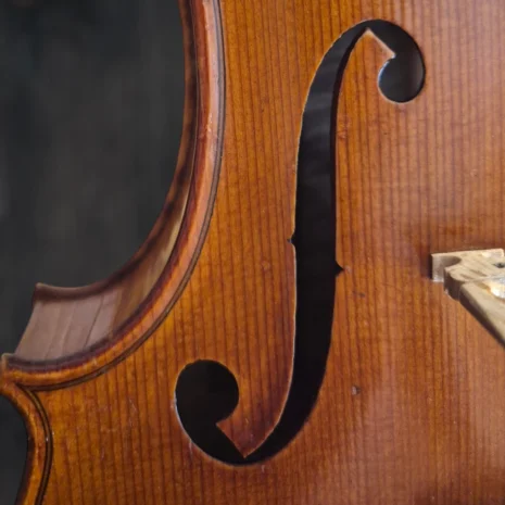 violon-albert-deblaye-1920 (7) violon-albert-deblaye-1920 (7)