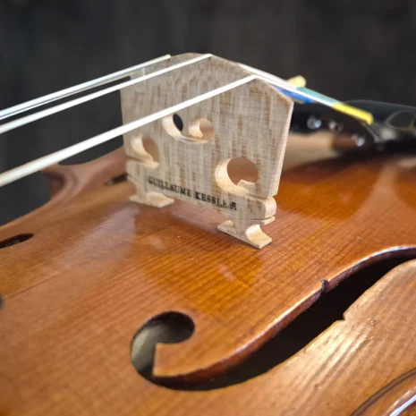 violon-albert-deblaye-1920 (9) violon-albert-deblaye-1920 (9)