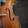 violon-leon-mougenot-1954 (20)