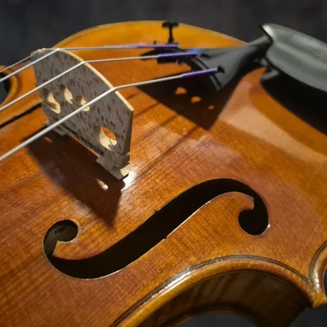 violon-leon-mougenot-1954 (4) violon-leon-mougenot-1954 (4)
